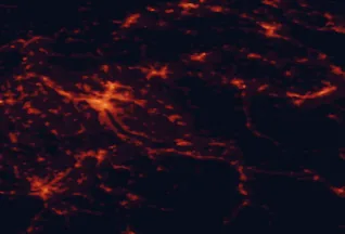 Satellite night-light map of the 50 km around Wetzikon, with Zürich, Winterthur and Uster marked