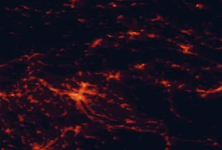 Satellite night-light map of the 50 km around Winterthur, with Zürich, Konstanz and Uster marked