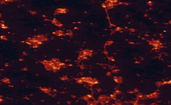 Satellite night-light map of the 50 km around Bedford, with Milton Keynes, Northampton and Luton marked
