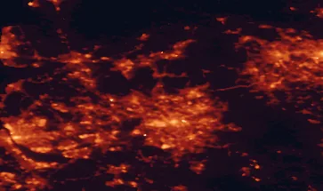 Satellite night-light map of the 50 km around Bury, with Manchester, Oldham and Liverpool marked