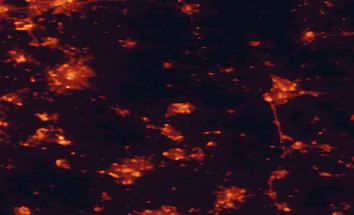 Satellite night-light map of the 50 km around Corby, with Leicester, Northampton and Peterborough marked
