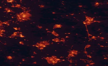 Satellite night-light map of the 50 km around Kettering, with Northampton, Leicester and Milton Keynes marked