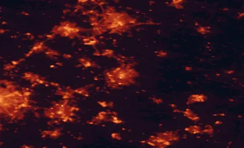 Satellite night-light map of the 50 km around Leicester, with Coventry, Nottingham and Derby marked