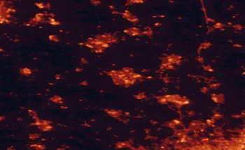 Satellite night-light map of the 50 km around Milton Keynes, with Northampton, Luton and Bedford marked