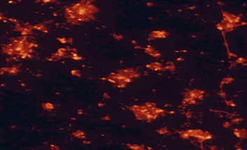 Satellite night-light map of the 50 km around Northampton, with Milton Keynes, Leicester and Coventry marked