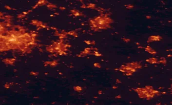 Satellite night-light map of the 50 km around Rugby, with Birmingham, Coventry and Leicester marked