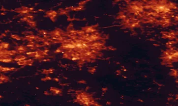 Satellite night-light map of the 50 km around Stockport, with Manchester, Sheffield and Oldham marked