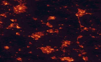Satellite night-light map of the 50 km around Wellingborough, with Northampton, Milton Keynes and Leicester marked