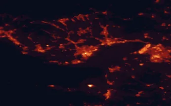 Satellite night-light map of the 50 km around Cardiff, with Bristol, Newport and Weston-super-Mare marked