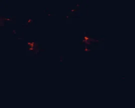 Satellite night-light map of the 50 km around Kaibab Band of Paiute Indians, with Kanab and Colorado City marked