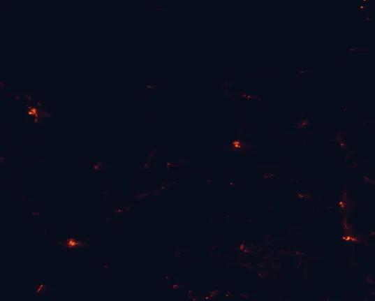Satellite night-light map around Navajo National Monument