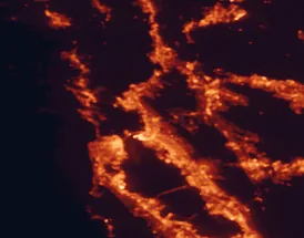 Satellite night-light map of the 50 km around Berkeley, with San Francisco, Oakland and Richmond marked