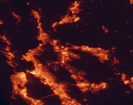 Satellite night-light map of the 50 km around Concord, with San Francisco, Oakland and Walnut Creek marked