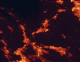 Satellite night-light map of the 50 km around Fairfield, with Vacaville, Vallejo and Concord marked