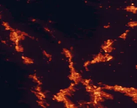 Satellite night-light map of the 50 km around Napa, with Vallejo, Fairfield and Santa Rosa marked
