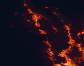 Satellite night-light map of the 50 km around Petaluma, with Santa Rosa, Vallejo and Novato marked