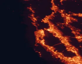 Satellite night-light map of the 50 km around San Francisco, with Oakland, Daly City and Berkeley marked
