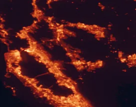 Satellite night-light map of the 50 km around San Ramon, with San Francisco, Oakland and Fremont marked