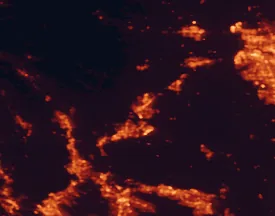 Satellite night-light map of the 50 km around Vacaville, with Sacramento, Fairfield and Vallejo marked