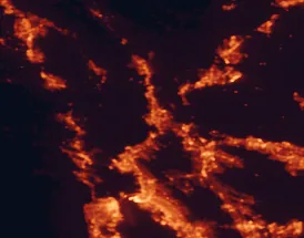 Satellite night-light map of the 50 km around Vallejo, with San Francisco, Oakland and Concord marked