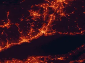Satellite night-light map of the 50 km around New Haven, with Bridgeport, West Haven and Hamden marked