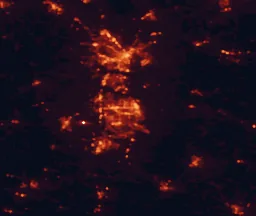 Satellite night-light map of the 50 km around Warner Robins, with Macon, Perry and Centerville marked