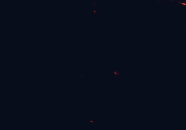 Satellite night-light map around Salmon-Challis National Forest