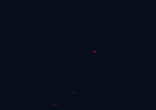 Satellite night-light map around Salmon National Forest