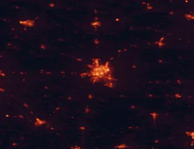 Satellite night-light map of the 50 km around Decatur, with Mount Zion, Lincoln and Taylorville marked