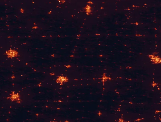 Satellite night-light map of the 100 km around Middle Fork River Forest Preserve, with Champaign, Urbana and Bloomington marked