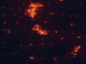 Satellite night-light map of the 50 km around Iowa City, with Cedar Rapids, Coralville and North Liberty marked
