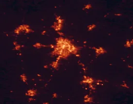 Satellite night-light map of the 50 km around Lexington, with Lexington-Fayette, Nicholasville and Georgetown marked