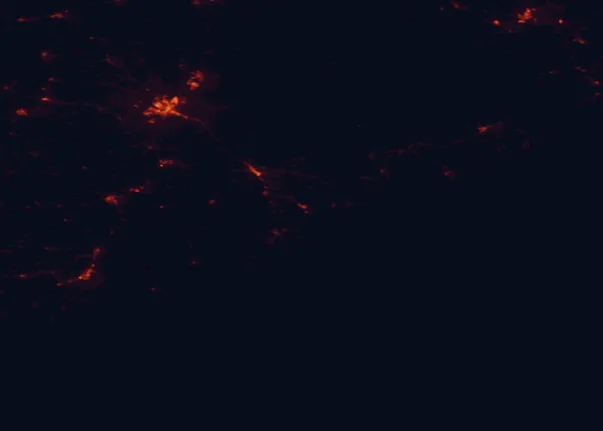 Satellite night-light map of the 100 km around Acadia National Park, with Bangor, Brewer and Orono marked