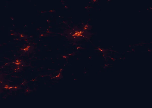 Satellite night-light map of the 100 km around Fort Point State Park, with Bangor, Augusta and Waterville marked