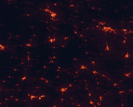 Satellite night-light map of the 100 km around Big Oak Tree State Park, with Cape Girardeau, Sikeston and Paducah marked