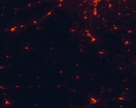 Satellite night-light map of the 100 km around Johnson's Shut-Ins State Park, with Farmington, Rolla and Poplar Bluff marked