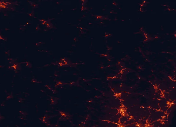 Satellite night-light map of the 100 km around Cardigan Mountain State Park, with Manchester, East Concord and Concord marked