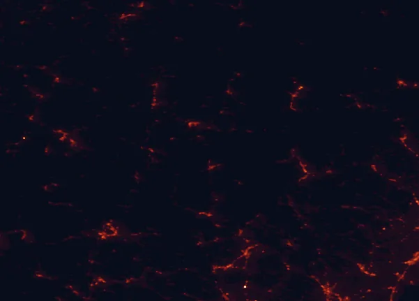 Satellite night-light map of the 100 km around Franconia Notch State Park, with Rochester, Laconia and Sanford marked