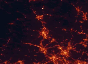 Satellite night-light map of the 50 km around Manchester, with Nashua, Lowell and Lawrence marked