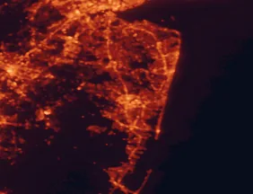 Satellite night-light map of the 50 km around Lakewood, with Brick, Toms River and Edison marked
