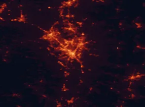 Satellite night-light map of the 50 km around Albany, with Troy, Schenectady and Clifton Park marked