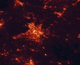 Satellite night-light map of the 50 km around Fayetteville, with Fort Bragg, Hope Mills and Spring Lake marked