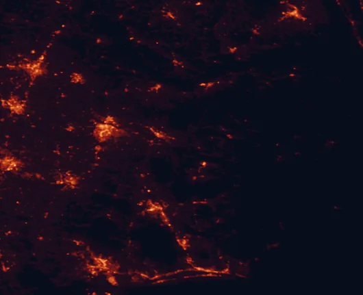 Satellite night-light map of the 100 km around Goose Creek State Park, with Greenville, Jacksonville and Rocky Mount marked