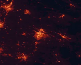 Satellite night-light map of the 50 km around Greenville, with Rocky Mount, Winterville and Kinston marked