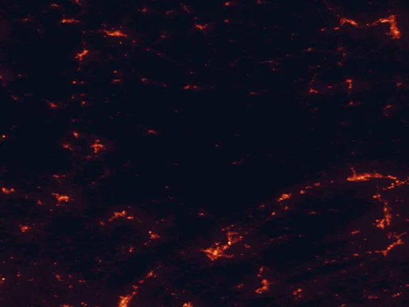 Satellite night-light map of the 100 km around Kettle Creek State Park, with State College, Williamsport and Elmira marked