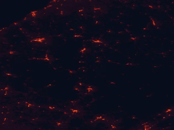 Satellite night-light map of the 100 km around Kinzua Bridge State Park, with Jamestown, Olean and Saint Marys marked