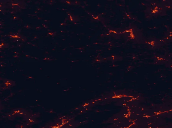 Satellite night-light map of the 100 km around Leonard Harrison State Park, with Williamsport, Elmira and Ithaca marked