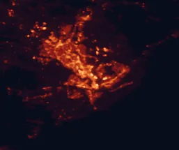Satellite night-light map of the 50 km around North Charleston, with Charleston, Mount Pleasant and Goose Creek marked