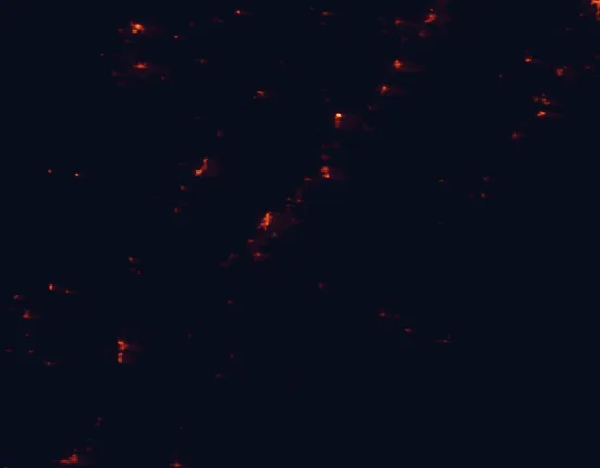 Satellite night-light map around Fishlake National Forest