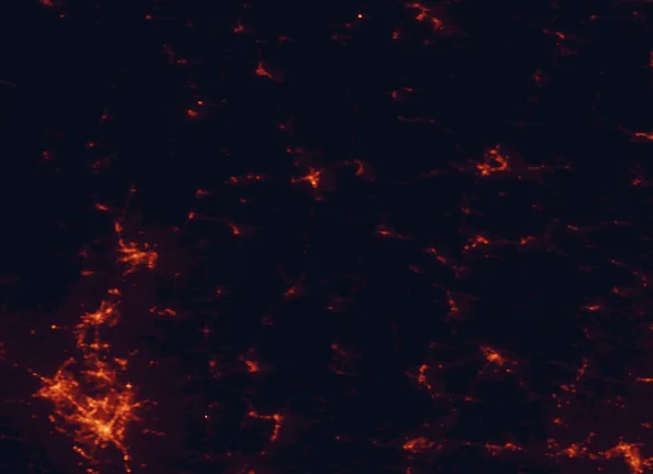 Satellite night-light map of the 100 km around Robert T. Stafford White Rocks National Recreation Area, with Albany, West Albany and Schenectady marked